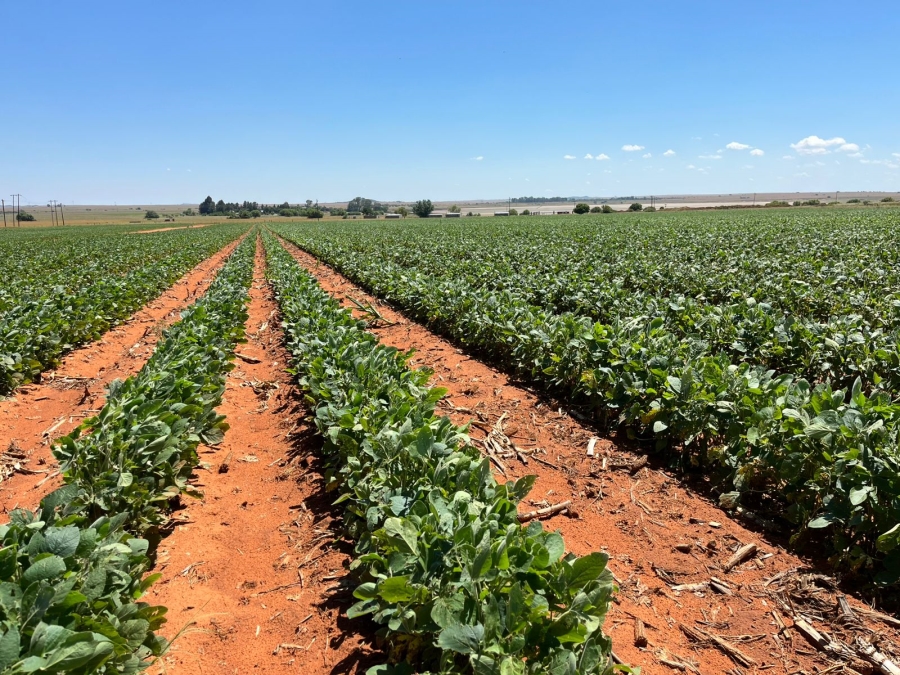 12 Bedroom Property for Sale in Bloemfontein Rural Free State